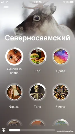 Game screenshot Учи северносаамский - EuroTalk mod apk