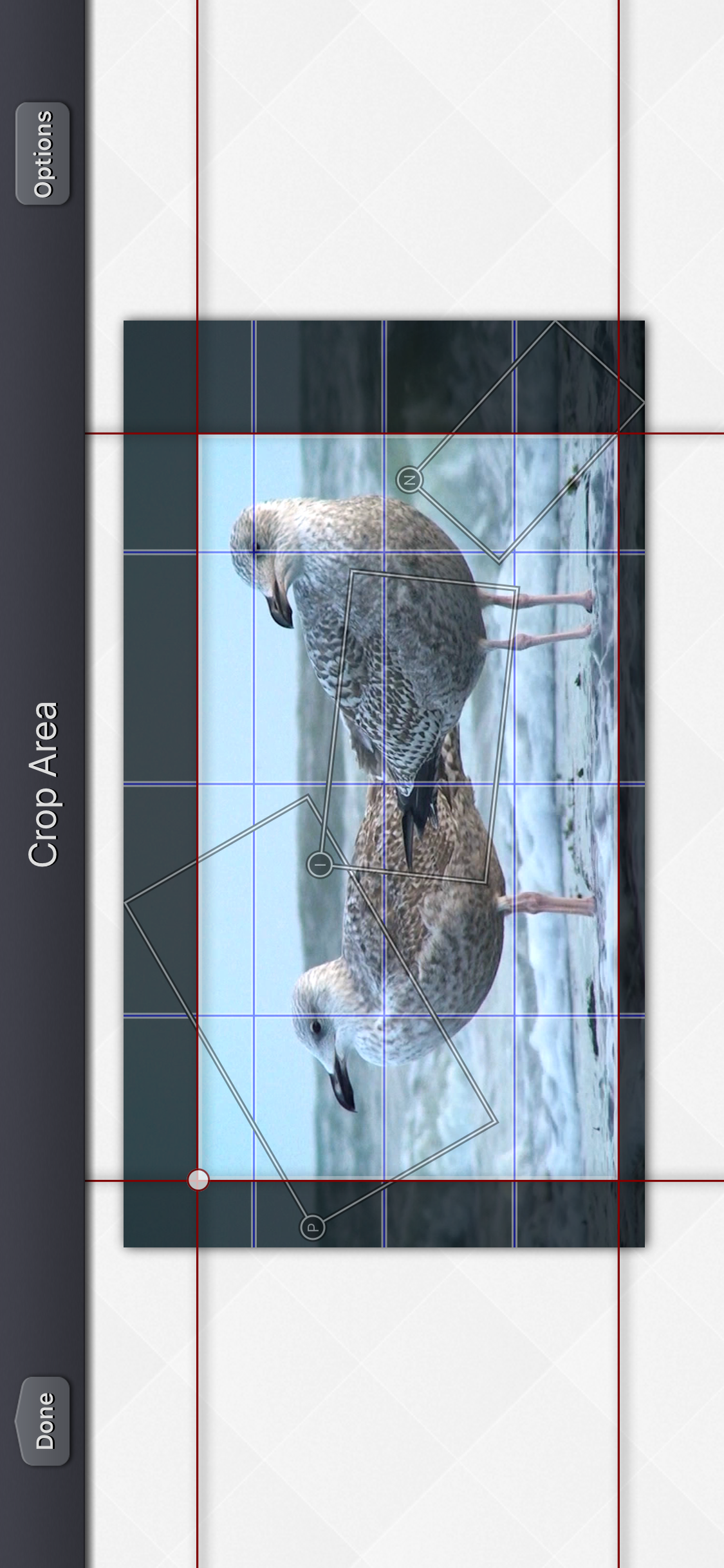 Video Crop & Zoom - HD