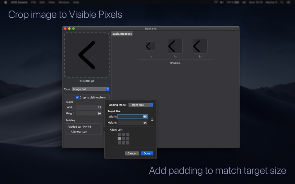 #3. SVG Assets – Icon Exporter (macOS) Podle: Nerius Vaskevicius