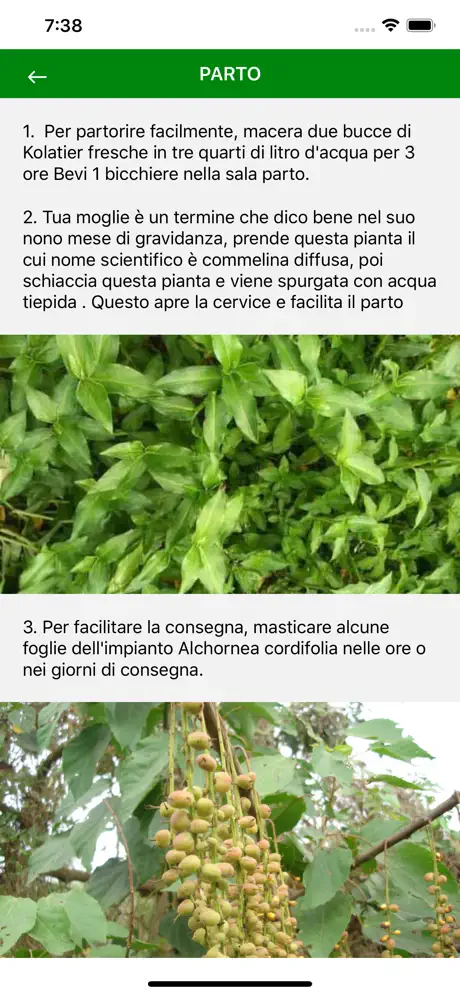 Piante medicinali del mondo