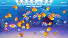 Game screenshot Aquarium Feeding Fish World mod apk