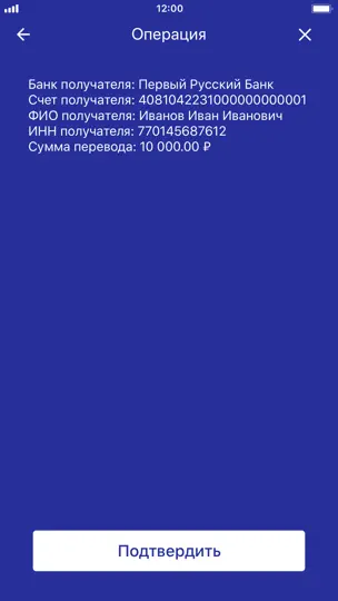 Скриншот PayControl Classic на iPhone 3
