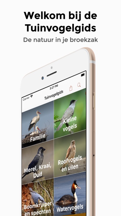 Screenshot #1 pour Tuinvogelgids