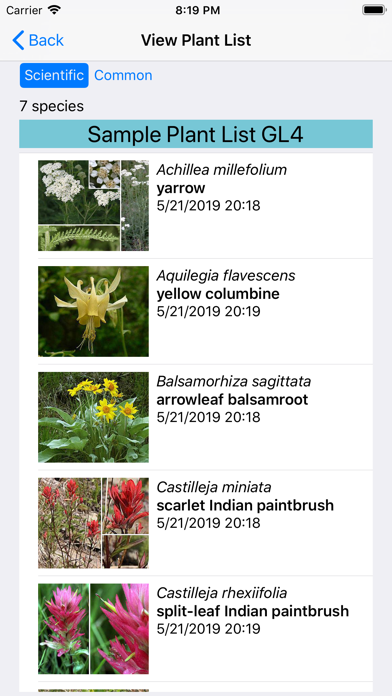 Glacier Wildflower Search Screenshot