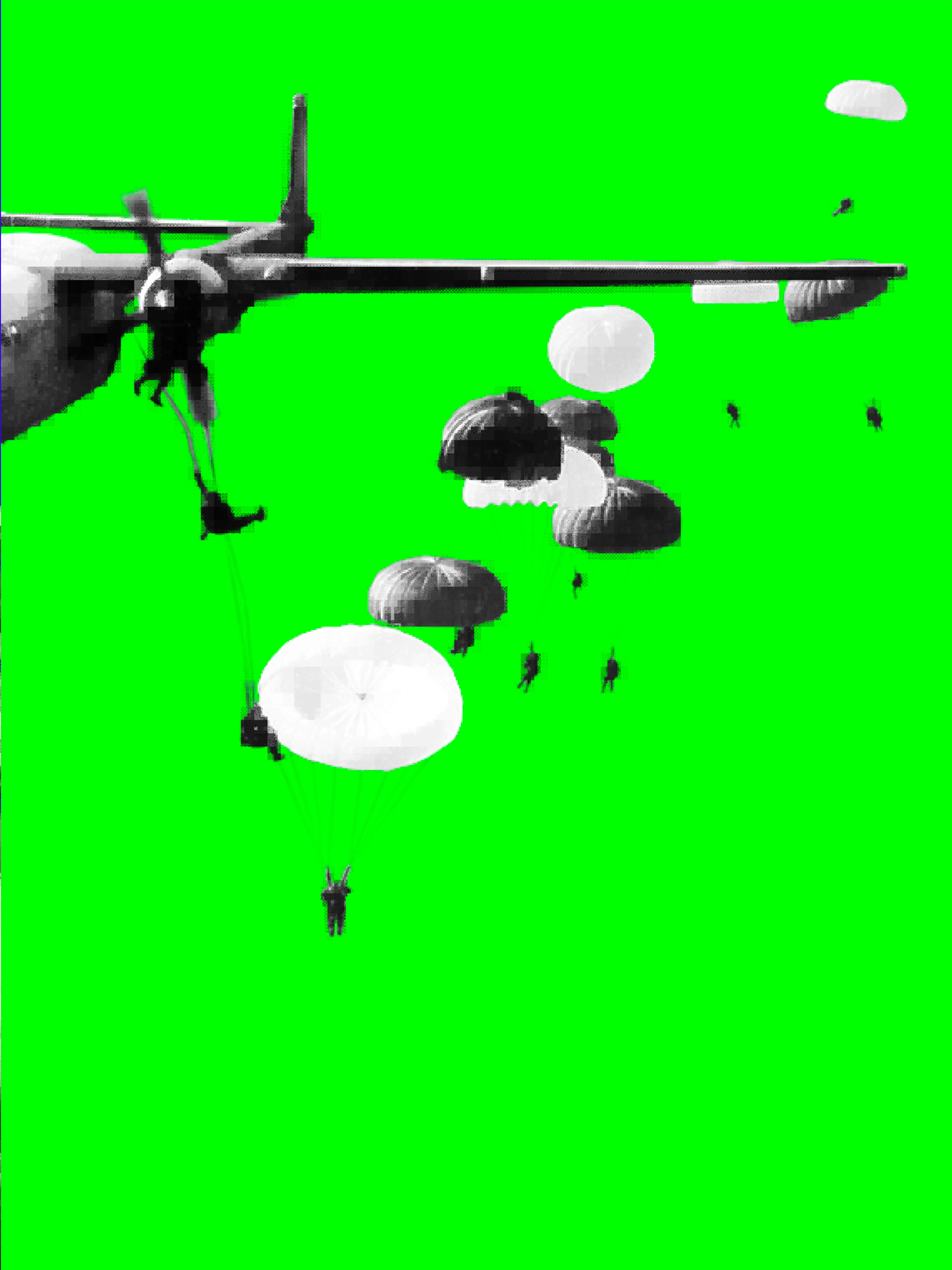 Plongeons screenshot 5