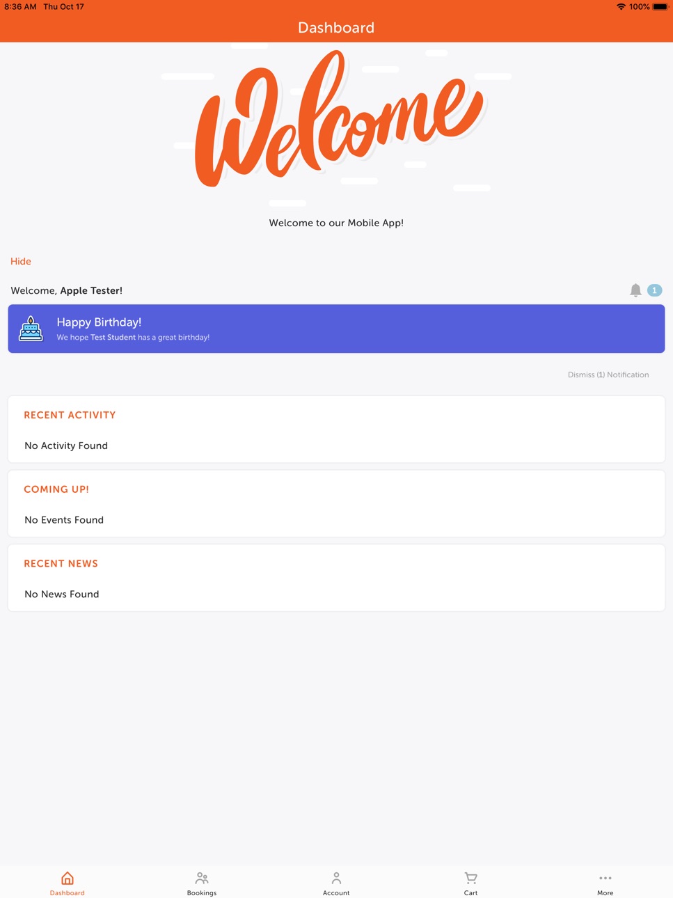 iPad screenshot