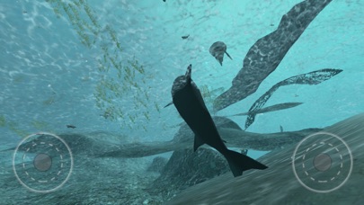 Real Shark Simulator Screenshot
