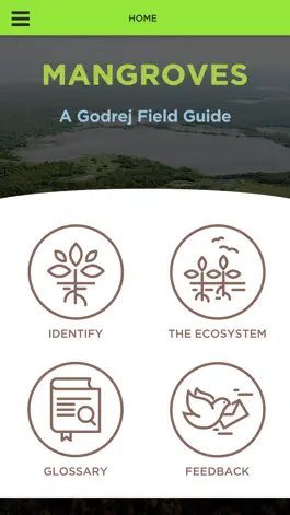 Game screenshot Mangrove mod apk
