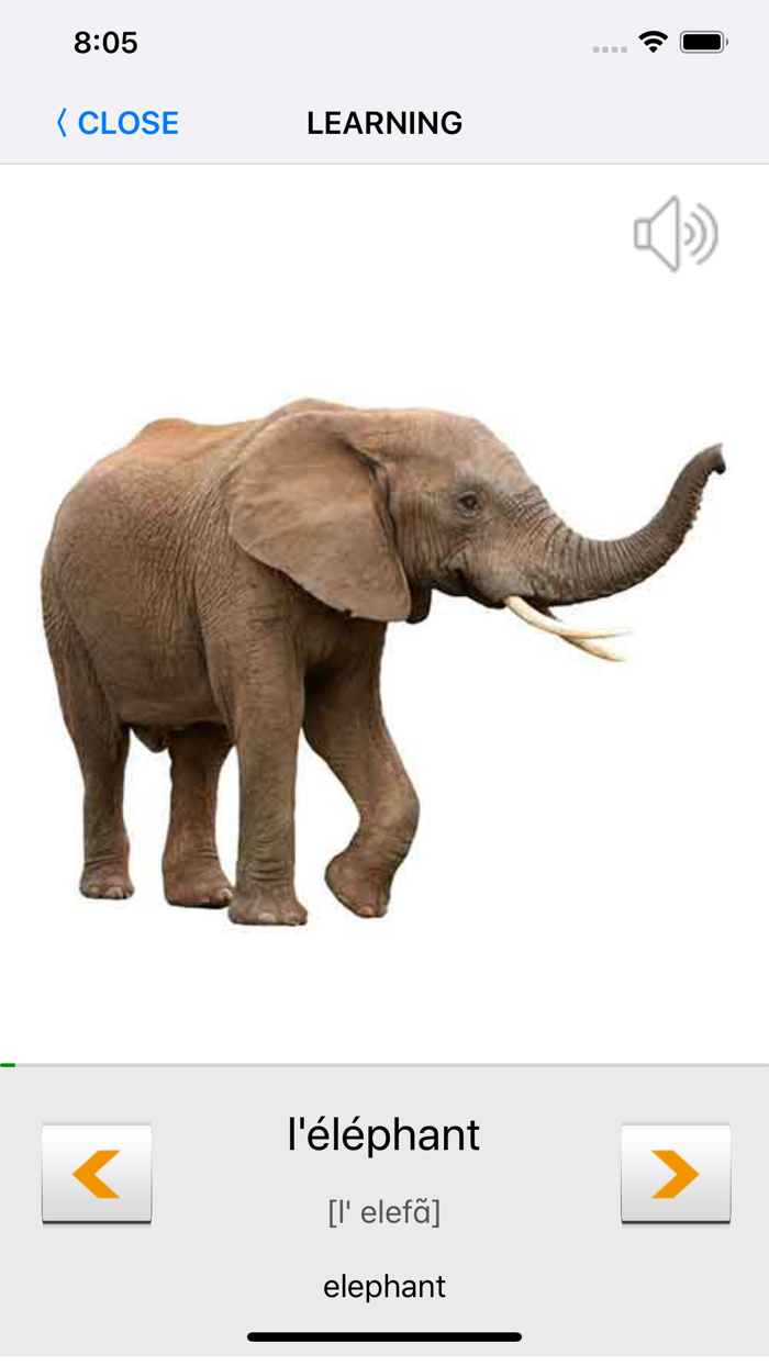 Learn French words with ST