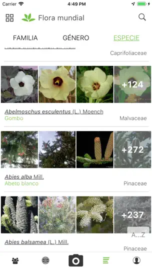 Captura de pantalla de PlantNet en iPhone 4