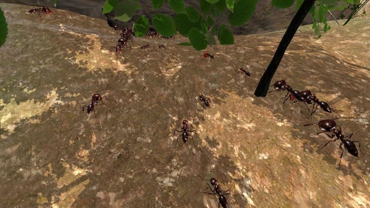 Ant Simulation 3D by mnhksdevelopment