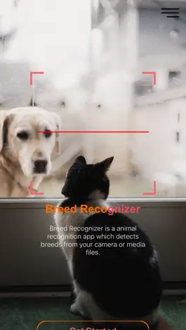 Game screenshot Breed Recognizer mod apk