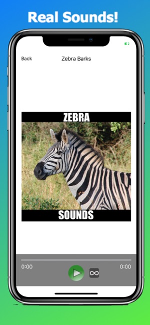 Zebra Sounds(圖3)-速報App