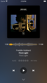 Plexamp screenshot