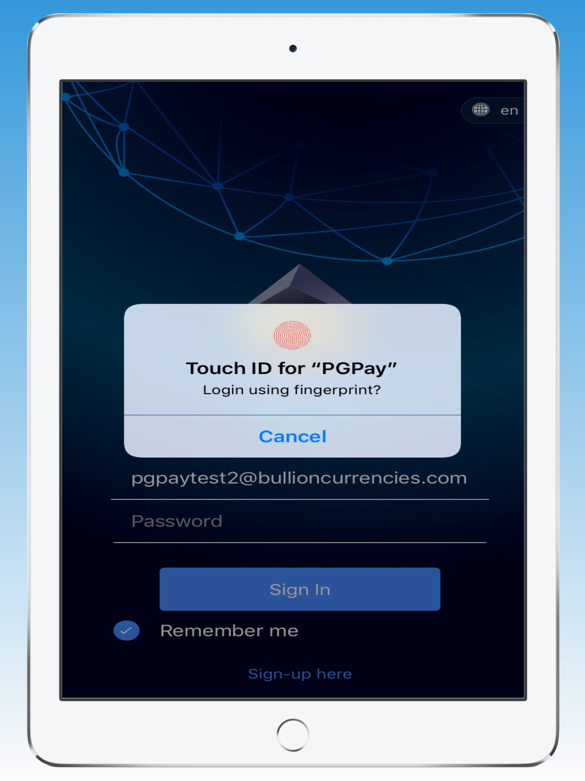 PG-Pay