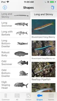 lembeh resort house reef fish problems & solutions and troubleshooting guide - 3