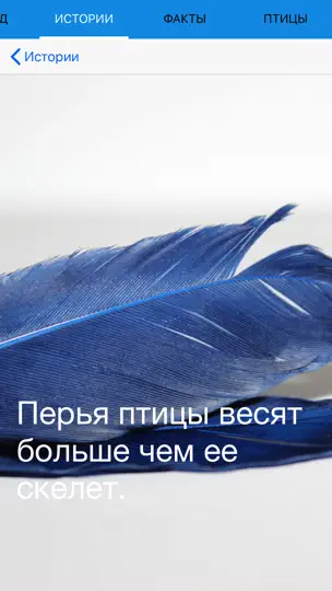 Скриншот Экогид - Птицы на iPhone 3