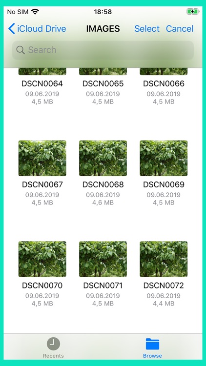Video Maker+