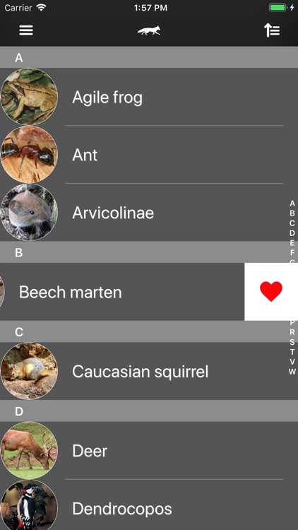 Animals 2.0