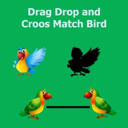 DragDropandCroosMatchBird