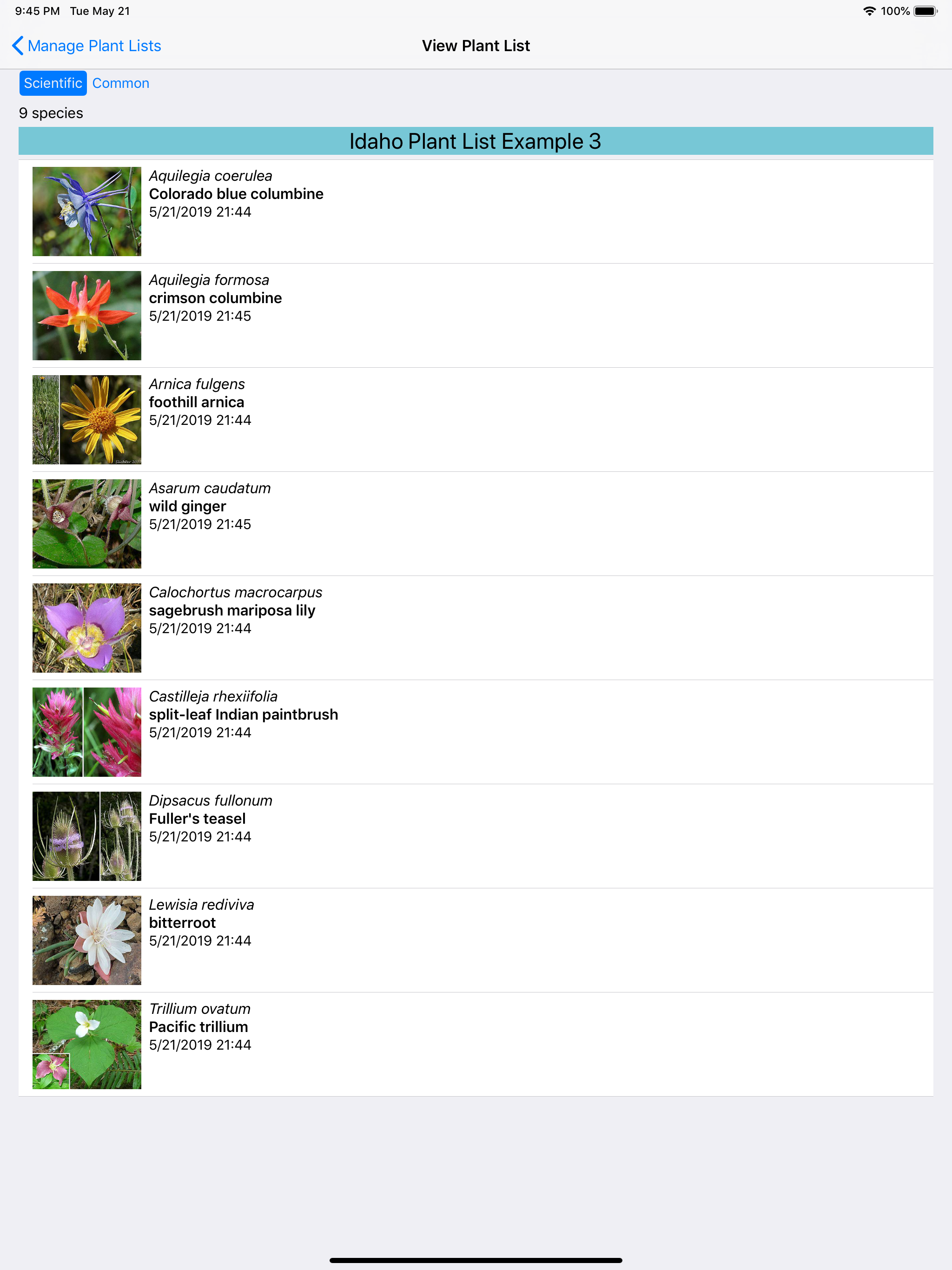 Idaho Wildflower Search