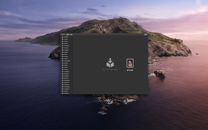 Screenshot #2 pour LUT Previewer