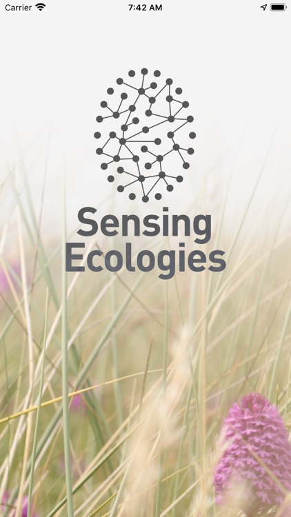 Sensing Ecologies