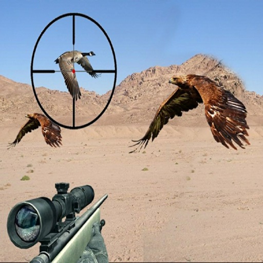 Sniper Hunter القناص