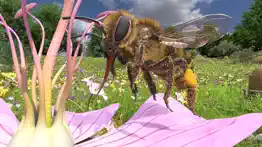 honigbiene vr iphone bildschirmfoto 1