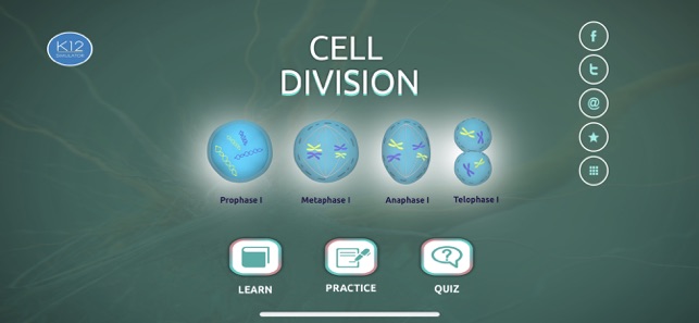 Process of Cell Division