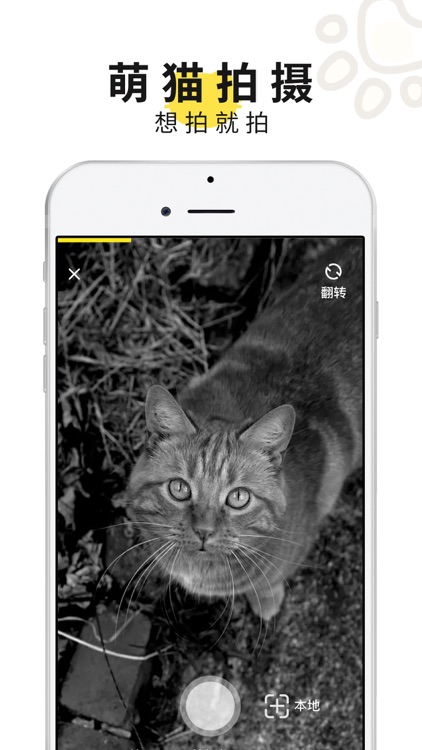 小桔趣喵 screenshot-3