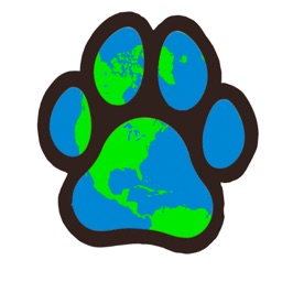 Vet Team Global Stream 2020