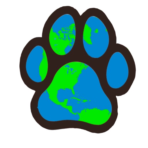 Vet Team Global Stream 2020