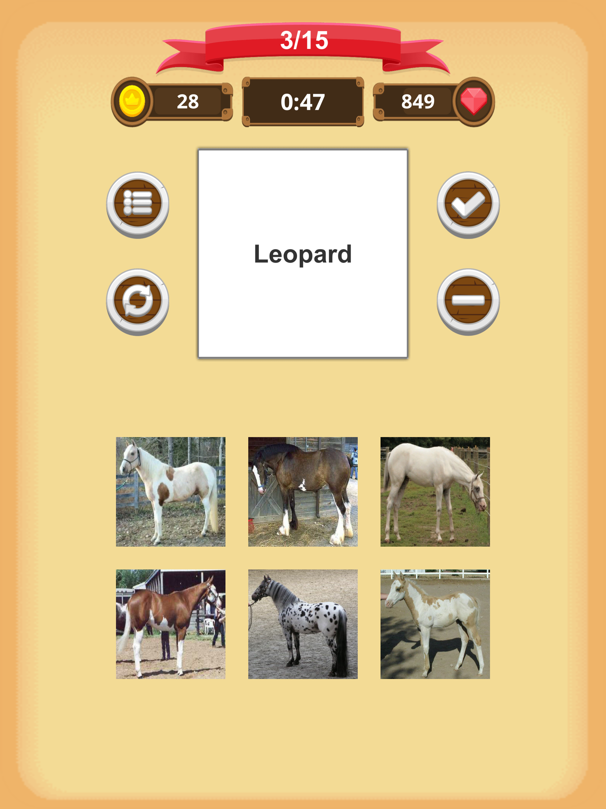 Horse Coat Colors - Quiz