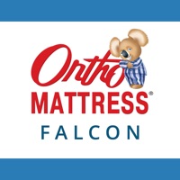 Ortho Falcon pour PC
