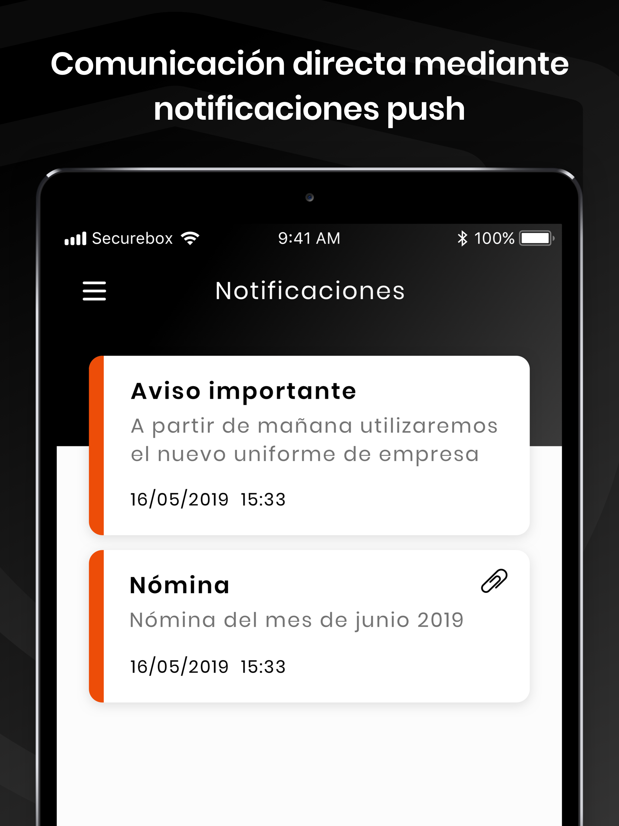 IB2 Seguridad