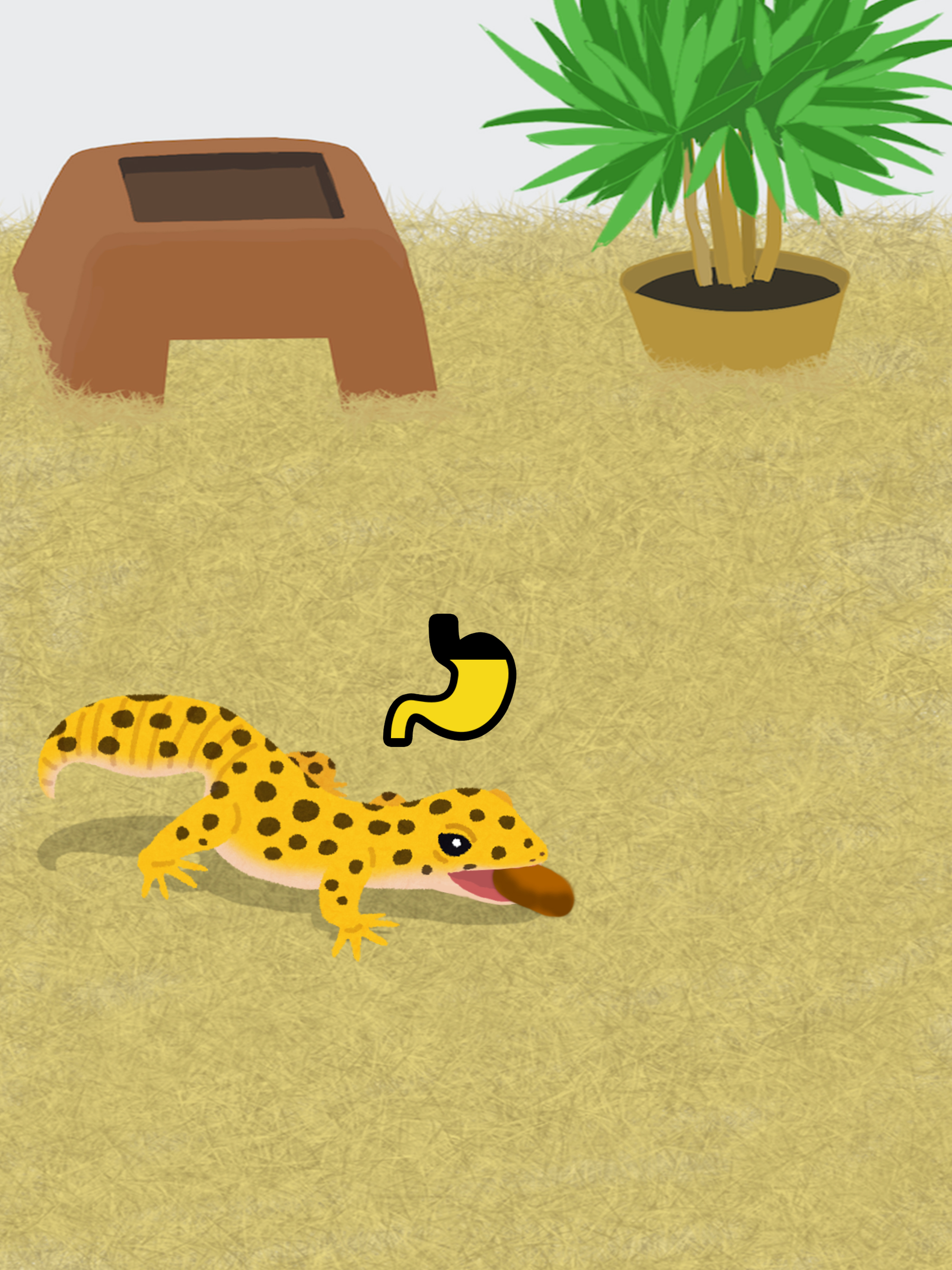 My Gecko -Virtual Pet Game- screenshot 5