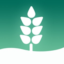 Orto Botanico di Padova