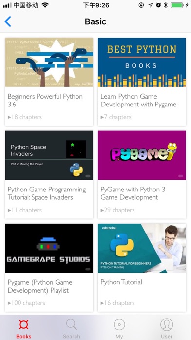 Python Developer Screenshot