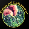 Gem Of Lebanon - Olive Oil