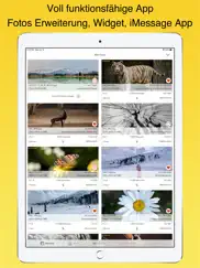 exif viewer lite von fluntro ipad bildschirmfoto 1