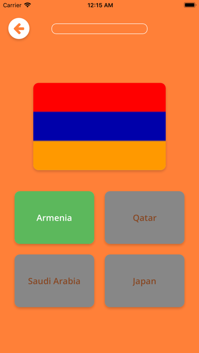 Flags 4 Fun screenshot 7