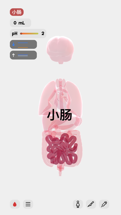 生命 - LIFE screenshot