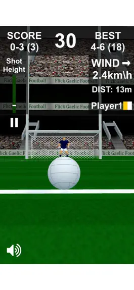 Game screenshot Flick Gaelic Football hack