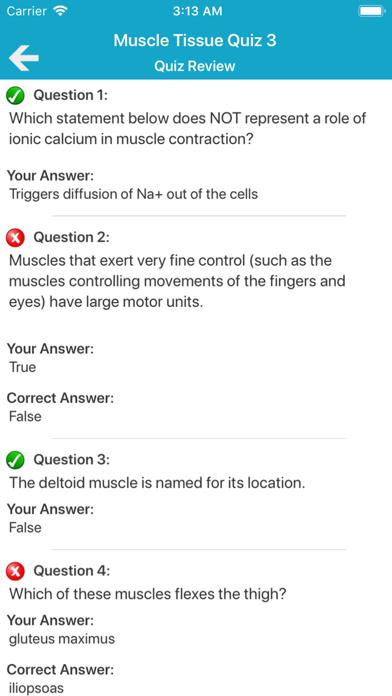 Muscular System Quizzes screenshot 4