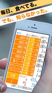 食パン摂取カロリー計算アプリ problems & solutions and troubleshooting guide - 2