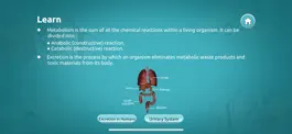Game screenshot Excretion in Human Beings apk