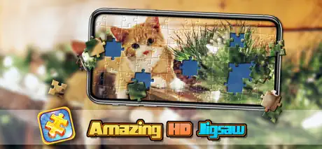 Jigsaw puzzle game for adults