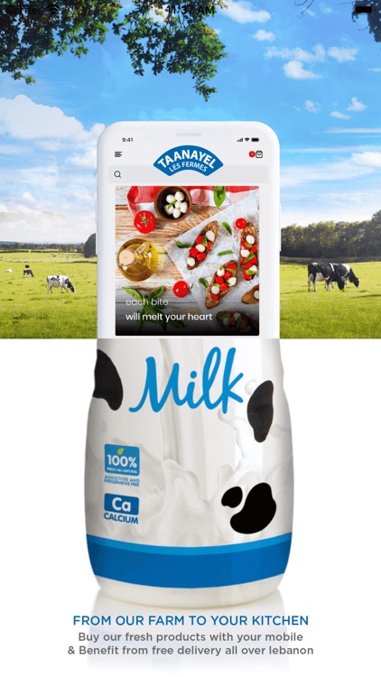 Taanayel Les Fermes Delivery