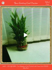 greeting_card айпад изображения 4